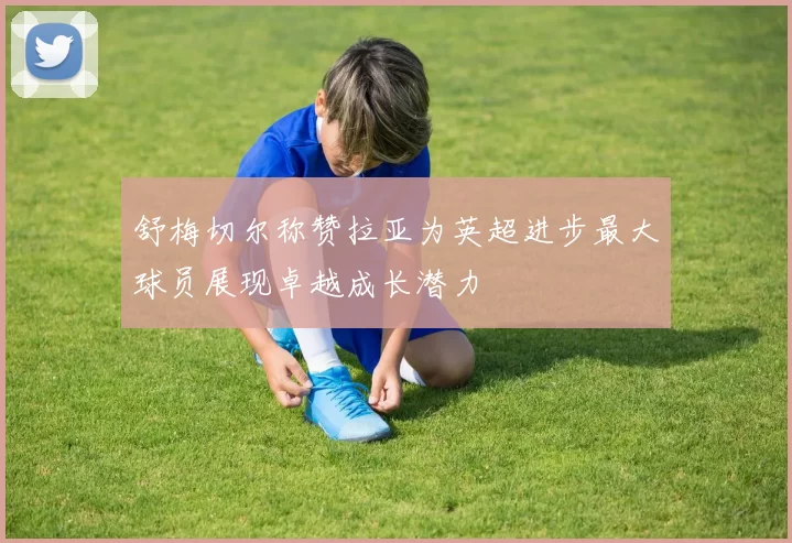 舒梅切尔称赞拉亚为英超进步最大球员展现卓越成长潜力