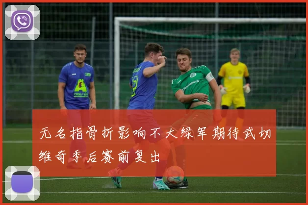 无名指骨折影响不大绿军期待武切维奇季后赛前复出