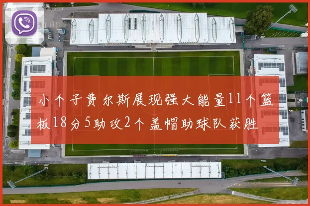 小个子费尔斯展现强大能量11个篮板18分5助攻2个盖帽助球队获胜